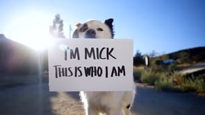 DC/This is Who I Am: Mick the Dog